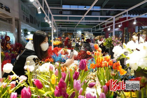 唐山鳳凰花卉市場躋身中國商品市場峰會時尚市場30強，彰顯辦公用品多元化魅力